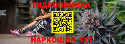 a pvp Можга