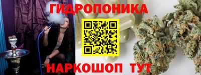 a pvp Можга