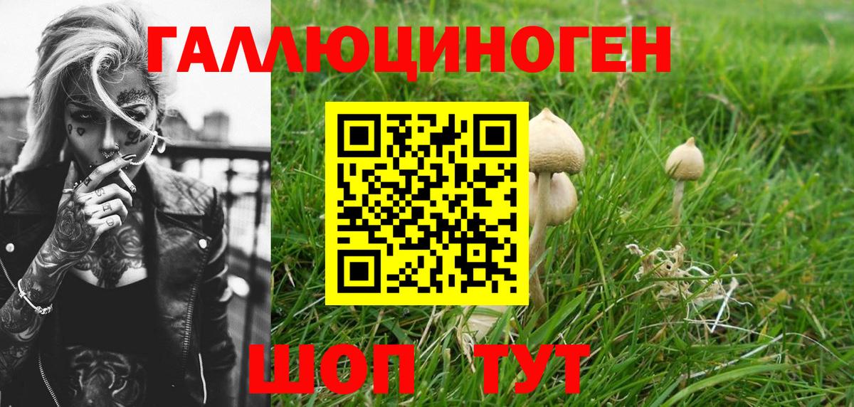 Псилоцибиновые грибы мухоморы  Вход с VPN  Чусовой 